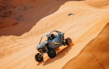 Mad Moose Rentals & Tours1