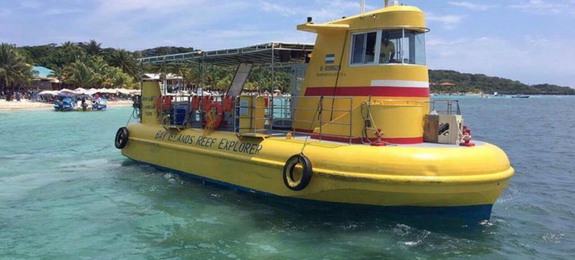 Wildlife Encounter and Glass Bottom Boat Excursion