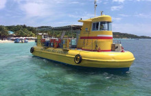 Roatan Henry tour1