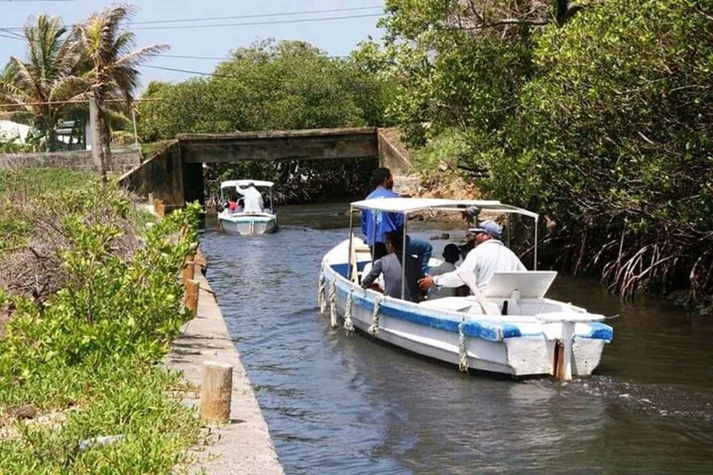 Roatan History, Culture and Wildlife Adventure