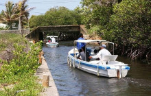 Roatan Henry tour1