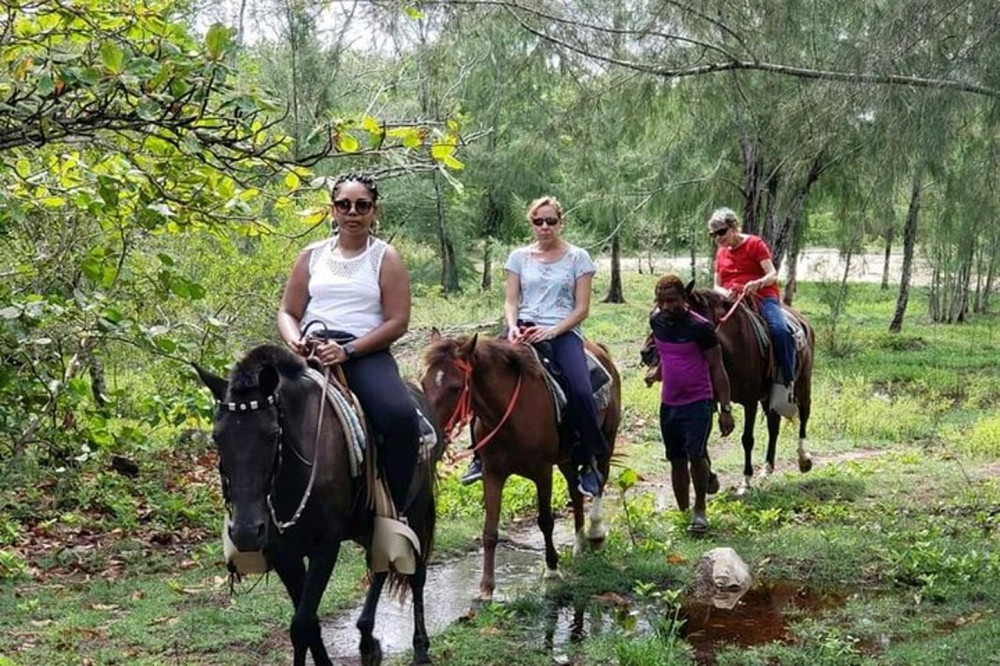 Nature Combo Tour: Mangrove Cruise, Horseback Riding & Snorkeling