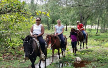 Roatan Henry tour1