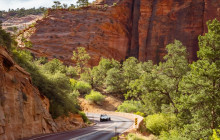 Mad Moose Rentals & Tours4