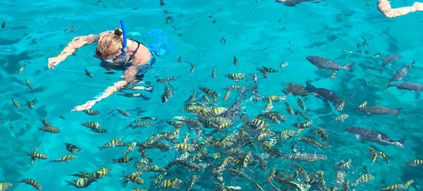 Roatan Wildlife Adventure - Land and Sea from Coxen Hole
