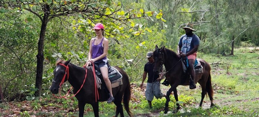 Roatan Combo Tour: Jungle Horseback Riding And Beach Break