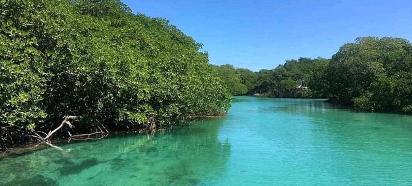 Best of Roatan Sightseeing Tour & Private Beach Club Access Pass