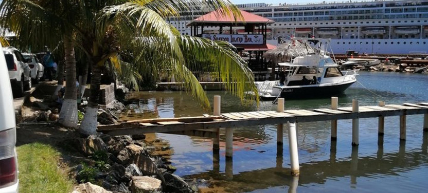 Best of Roatan Sightseeing Tour & Private Beach Club Access Pass