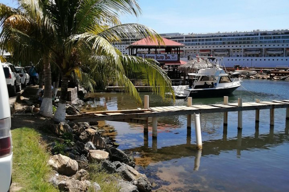 Best of Roatan Sightseeing Tour & Private Beach Club Access Pass