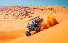 Mad Moose Rentals & Tours1