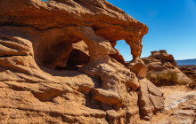 Mad Moose Rentals & Tours5