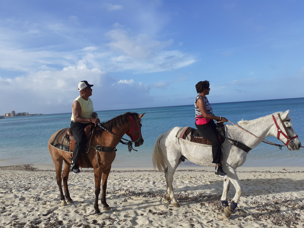 Sunrise Surf Horseback Riding Tour