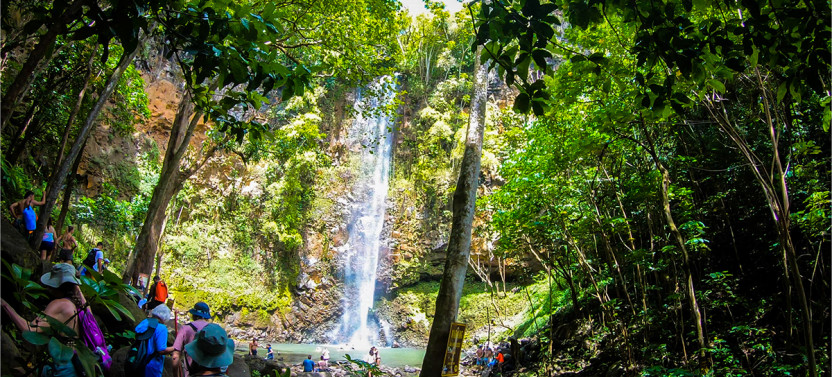Wailua River Secret Falls Guided Kayak & Hike Adventure 7:45am or 8:45am