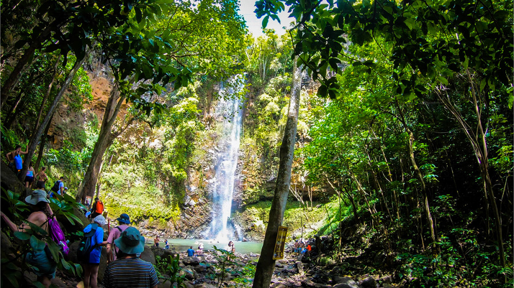 Kauai Secret Falls Guided Kayak Tour 745am or 845am Kapaa