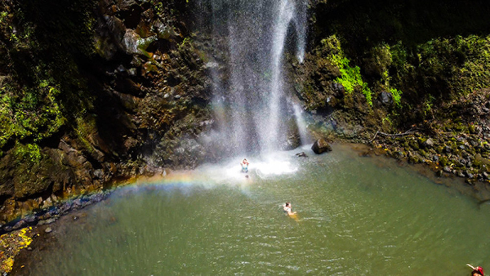 Kauai Secret Falls Guided Kayak Tour - 7:45am or 8:45am - Kapaa ...