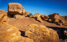 Mad Moose Rentals & Tours1