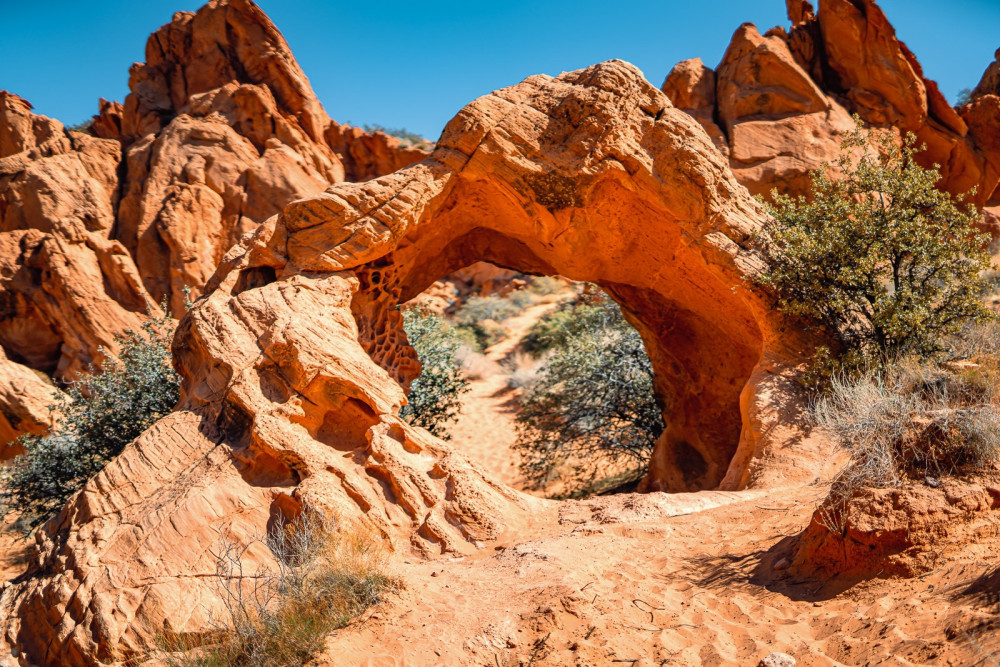 2 Hour Babylon Dinosaur Tracks Private Tour