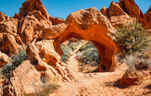 Mad Moose Rentals & Tours1