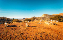 Mad Moose Rentals & Tours4