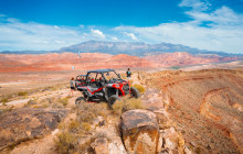 Mad Moose Rentals & Tours1