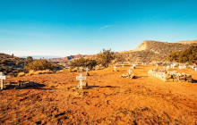 Mad Moose Rentals & Tours4