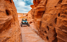 Mad Moose Rentals & Tours1