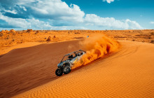 Mad Moose Rentals & Tours4