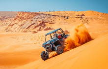 Mad Moose Rentals & Tours1