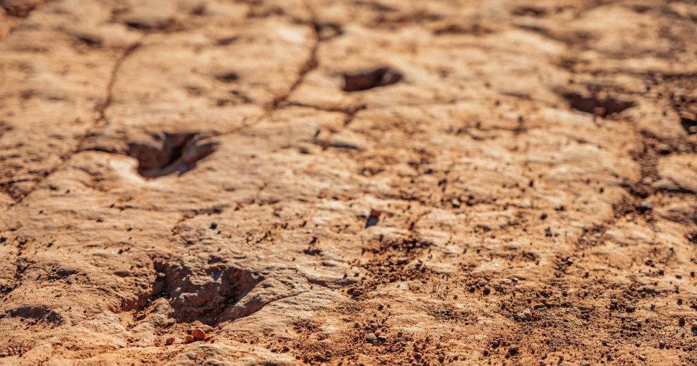 Dinosaur Tracks in the Desert UTV Tour
