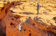 Mad Moose Rentals & Tours1