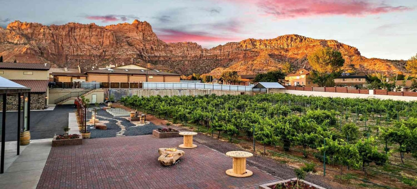 UTV Ride & Wine Tasting Tour
