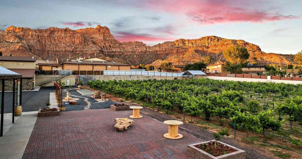 UTV Ride & Wine Tasting Tour