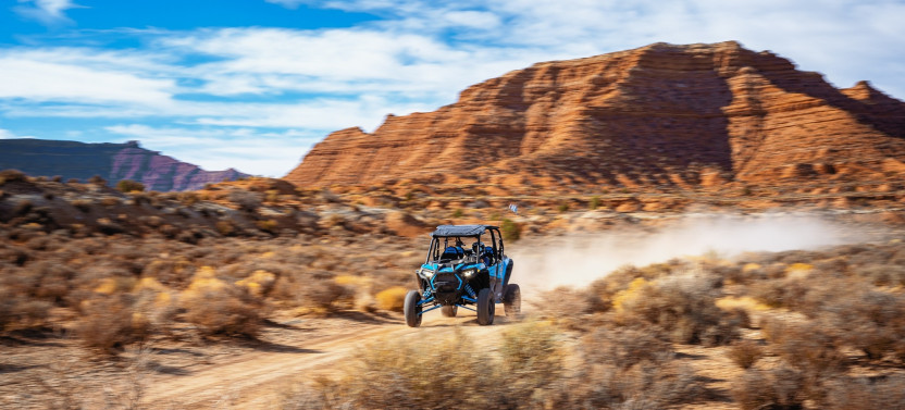 Zion Vista: Full Day UTV Excursion