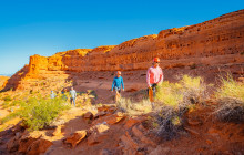 Mad Moose Rentals & Tours2