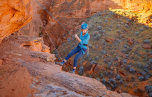 Mad Moose Rentals & Tours2