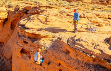 Mad Moose Rentals & Tours1