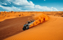 Mad Moose Rentals & Tours4