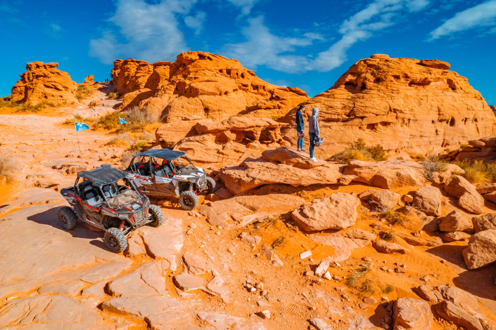 Mad Moose Rentals & Tours