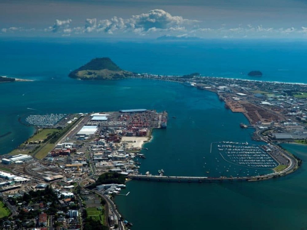 Tauranga Shore Excursion Hobbiton Day Tour Tauranga Project Expedition