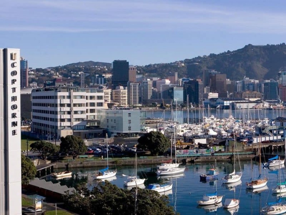 Wellington Shore Excursion: City Sightseeing Tour