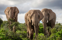 African Moon Adventures (Pty) Ltd9