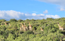African Moon Adventures (Pty) Ltd14
