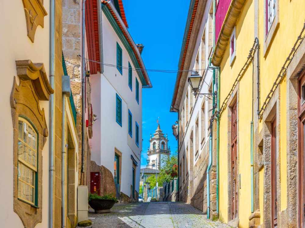 Dão Wine Region & Viseu: Private Full-Day Tour from Porto w/ Lunch & Wine