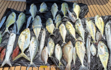 AYE AYE MARITIME BOAT RENTALS LLC31