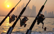 AYE AYE MARITIME BOAT RENTALS LLC40