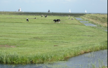 Tour Company NL12