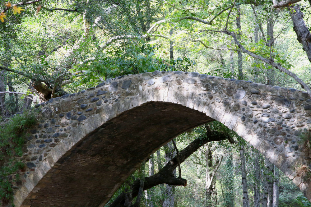 Day Tour at Troodos Mountains, Venetian Bridge and Waterfall