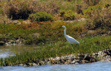 Lands - Eco Boat Tours5