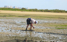 Lands - Eco Boat Tours2