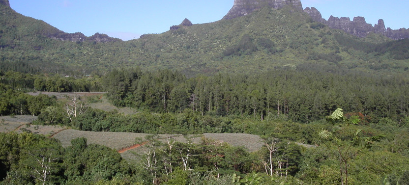 Mo’orea Circle Island Driving Tour